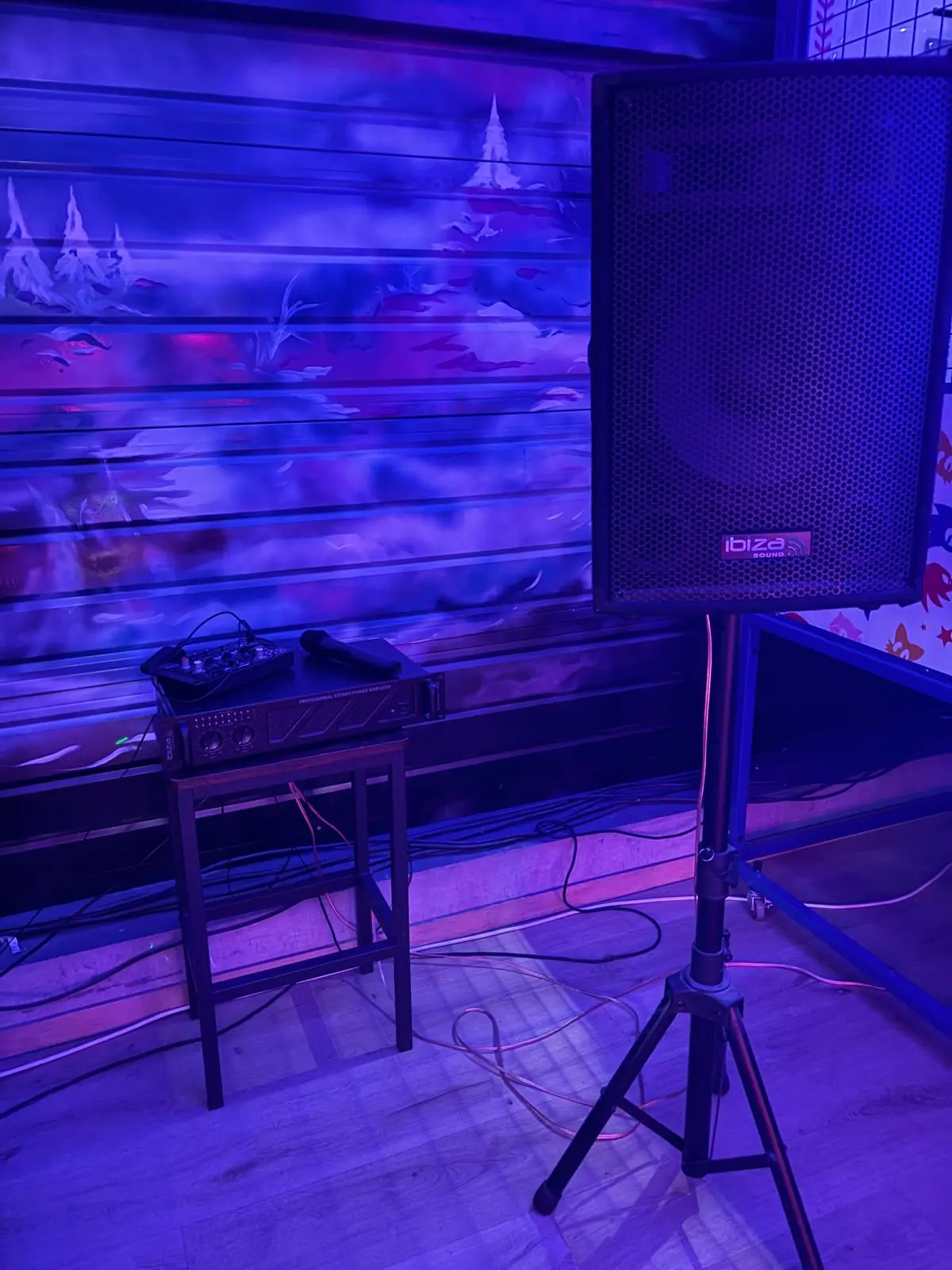 matériel pour le karaoké dont un micro, une enceinte et un ampli